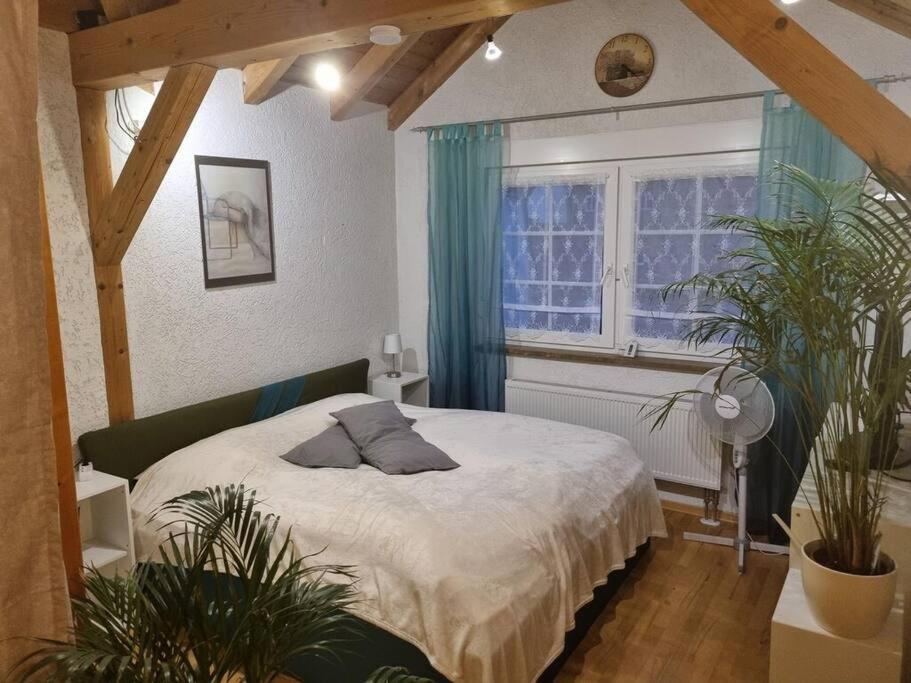 Gemuetliche Dachgeschosswohnung Erfurt Eksteriør billede