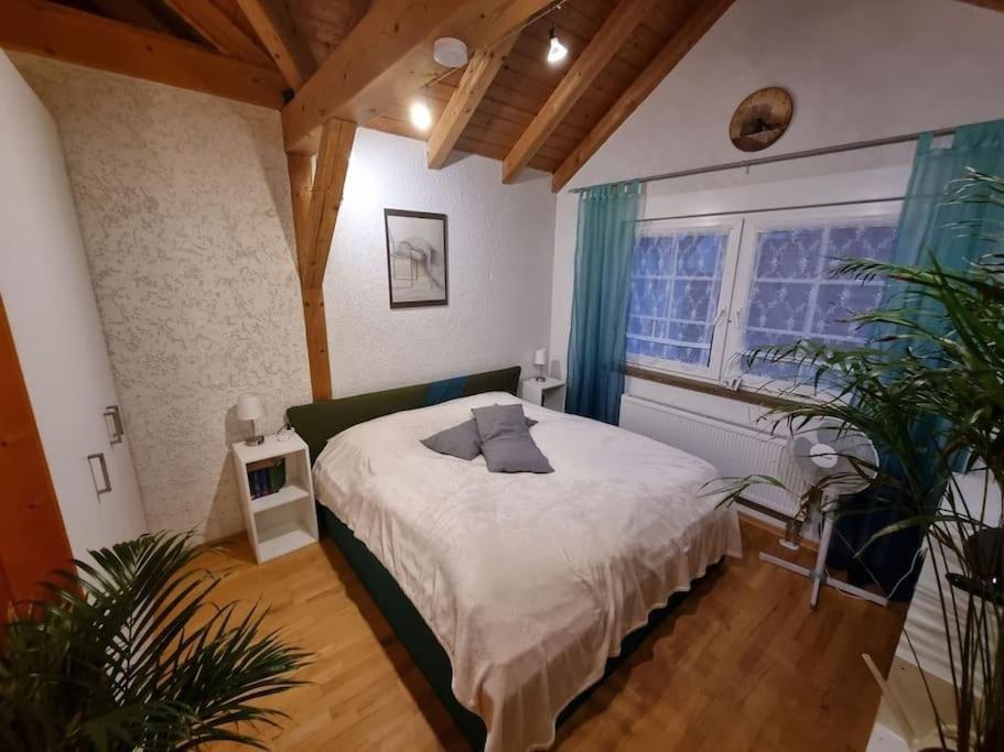 Gemuetliche Dachgeschosswohnung Erfurt Eksteriør billede