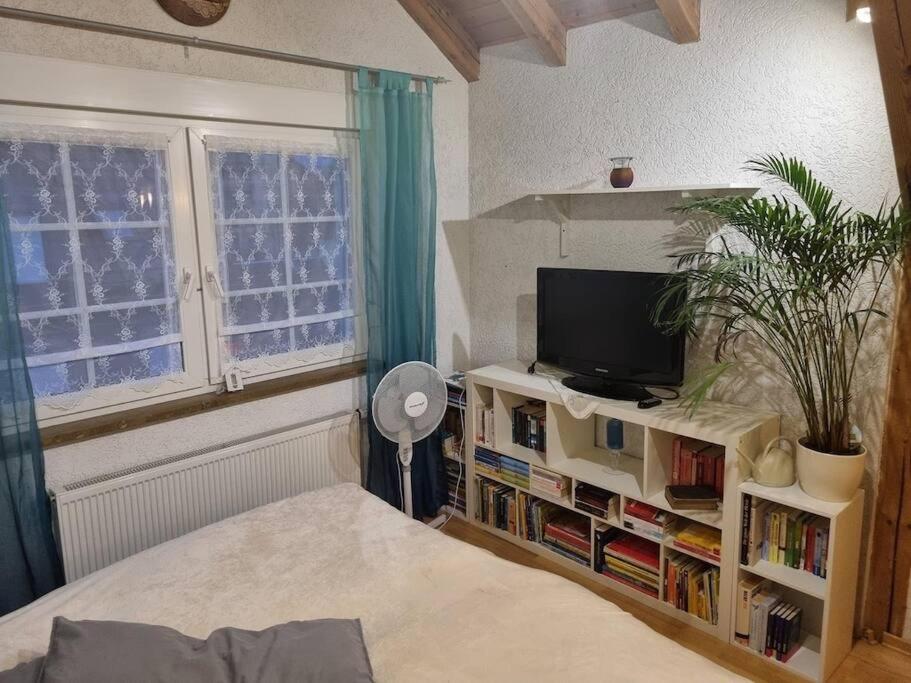 Gemuetliche Dachgeschosswohnung Erfurt Eksteriør billede